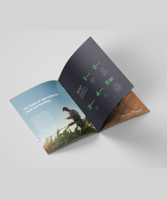 Professional Brochure Layout